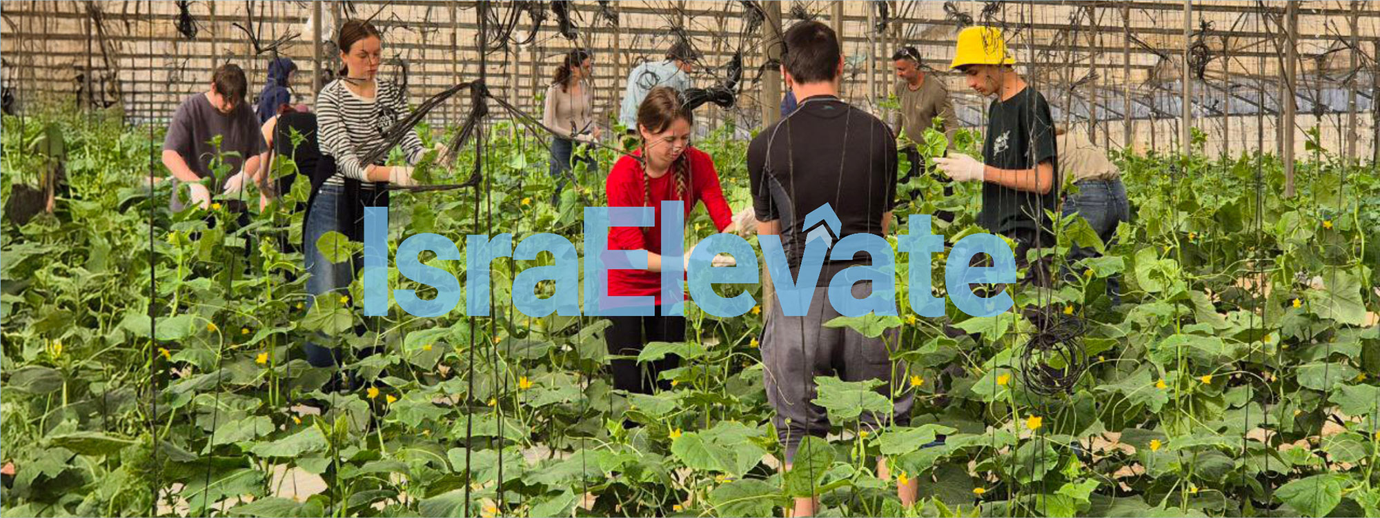 IsraElevate-8